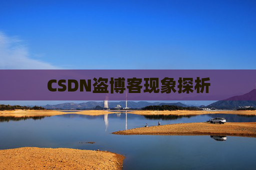 CSDN盗博客现象探析 CSDN盗博客现象探析